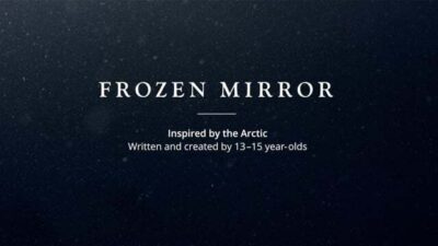 Frozen Mirror