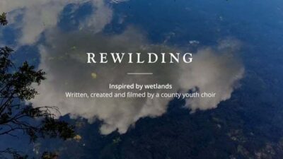 Rewilding