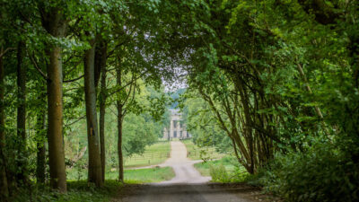 Where To Find Us Excerpt