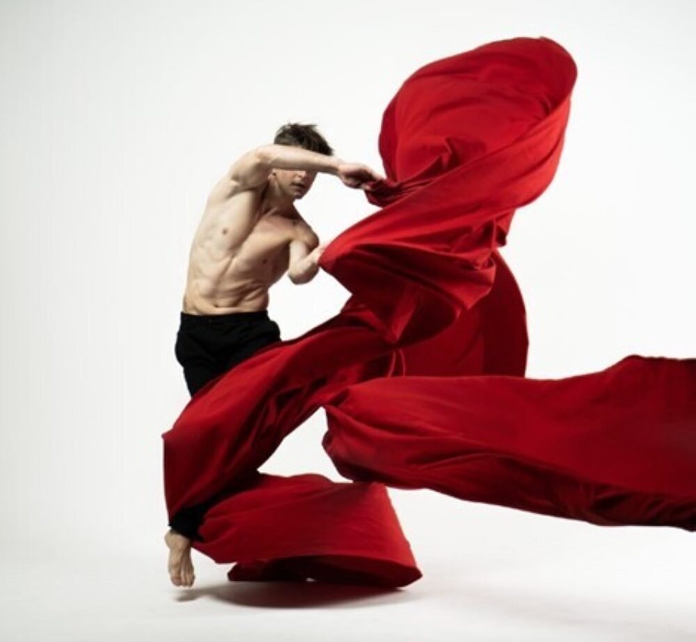 The Art of Movement. Toreo - 100x100cm Aluminium}