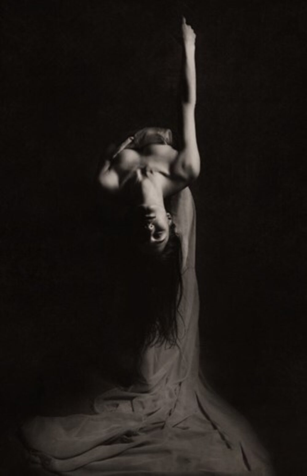 Portrait of a Dancer. Venus - 60x84cm Aluminium}